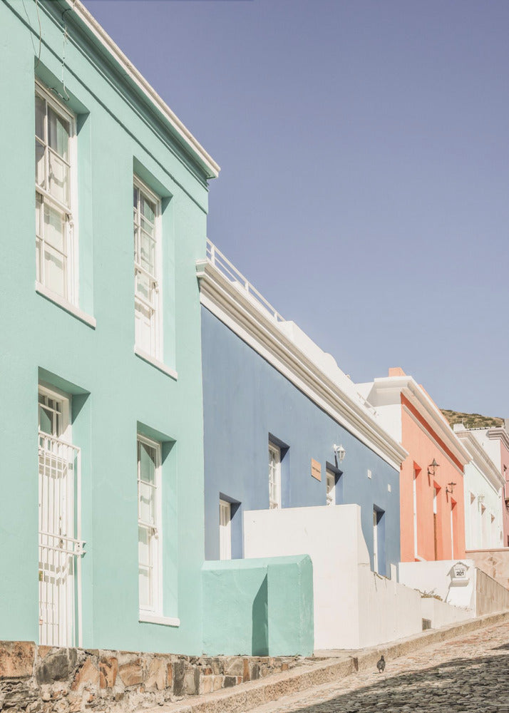 Colorful Street Harmony | Poster