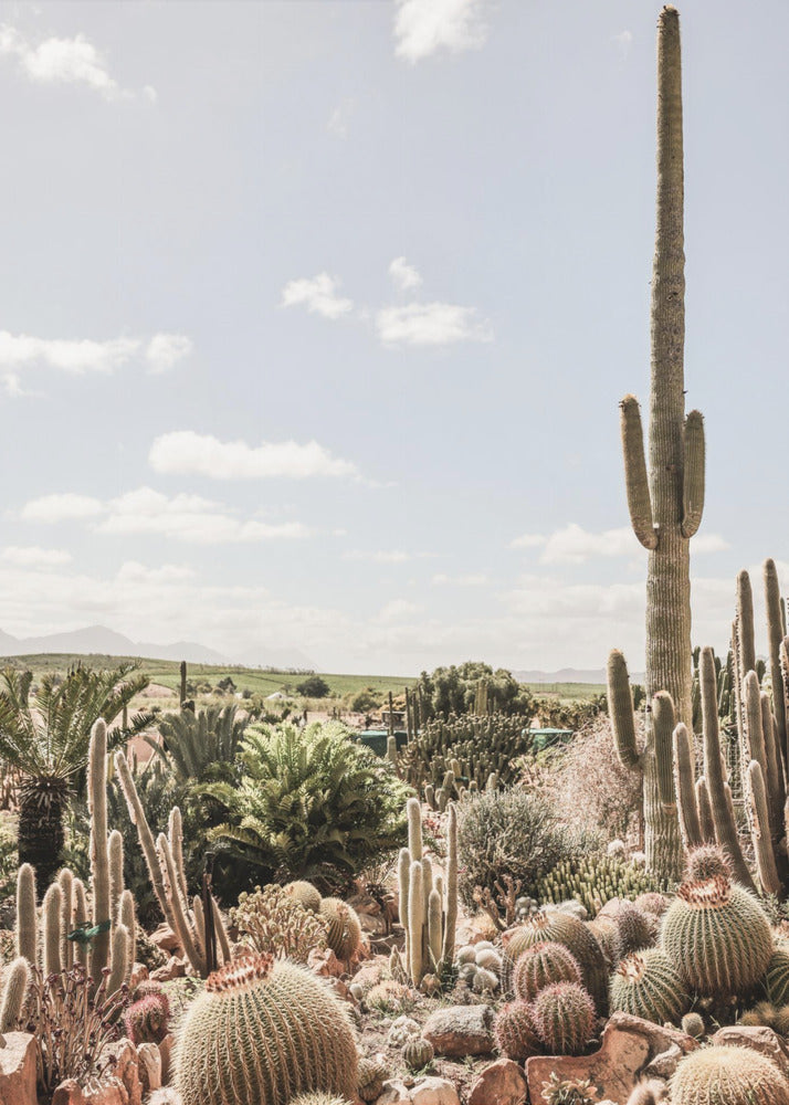 Desert Symphony | Poster