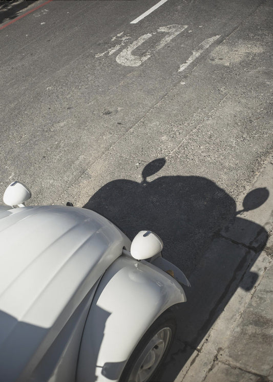 Classic Curve Shadows | Canvas