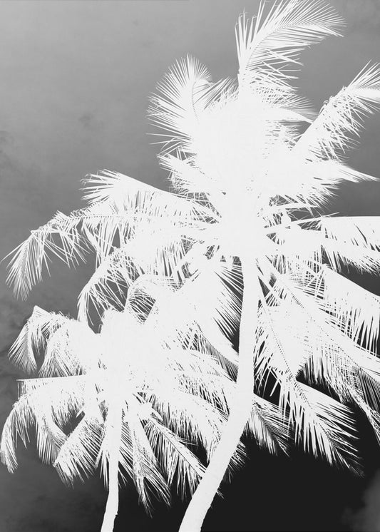 Inverted Palms | Canvas