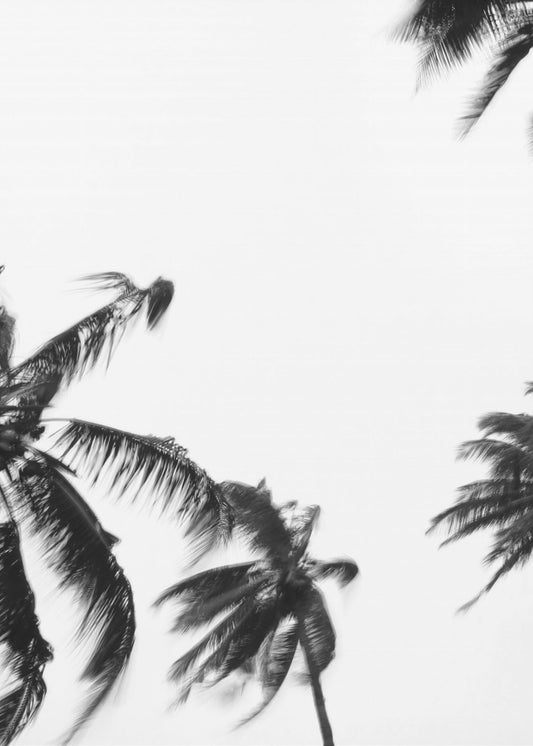 Swaying Palms | Canvas