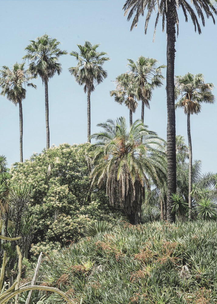 Tropical Serenity | Canvas