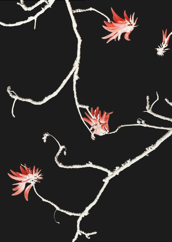 Scarlet Branch Dance | Canvas