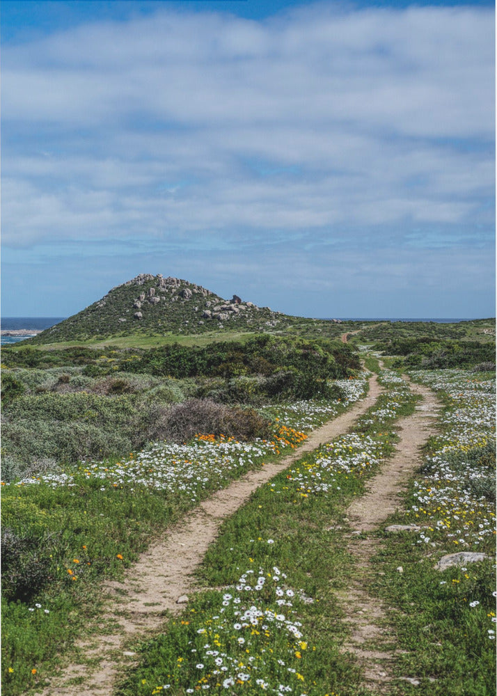 Pathway to Serenity | Poster