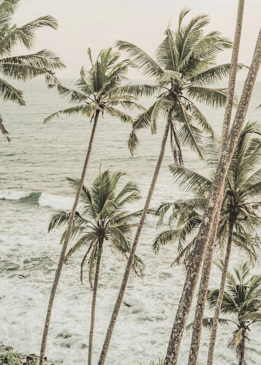 Coastal Serenity | Canvas