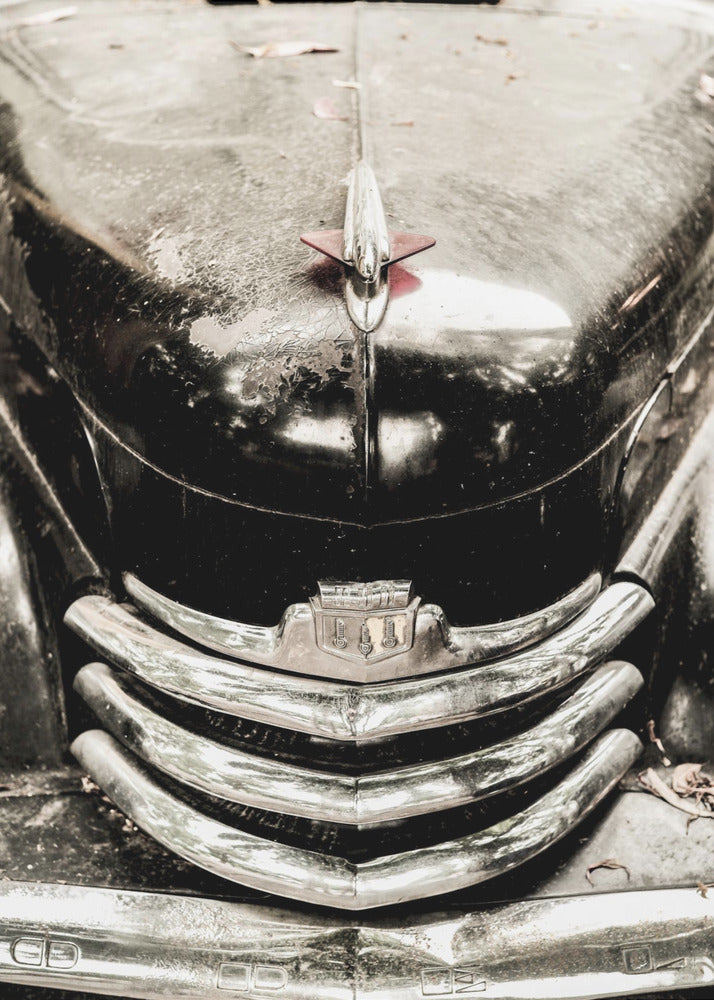 Vintage Elegance | Poster