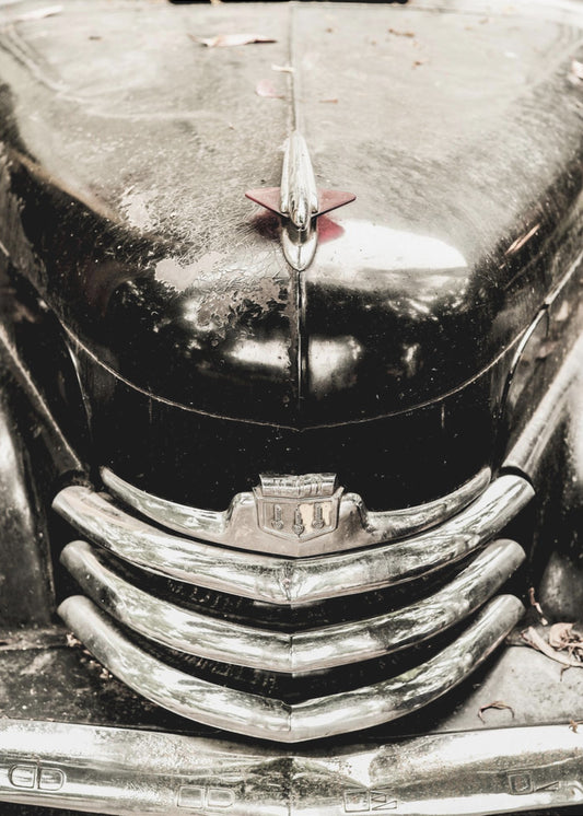 Vintage Elegance | Canvas