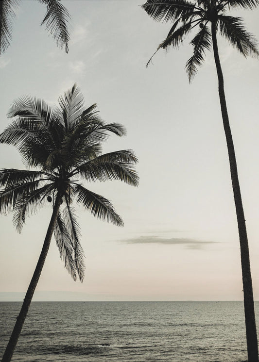 Tropical Dusk Sky | Canvas