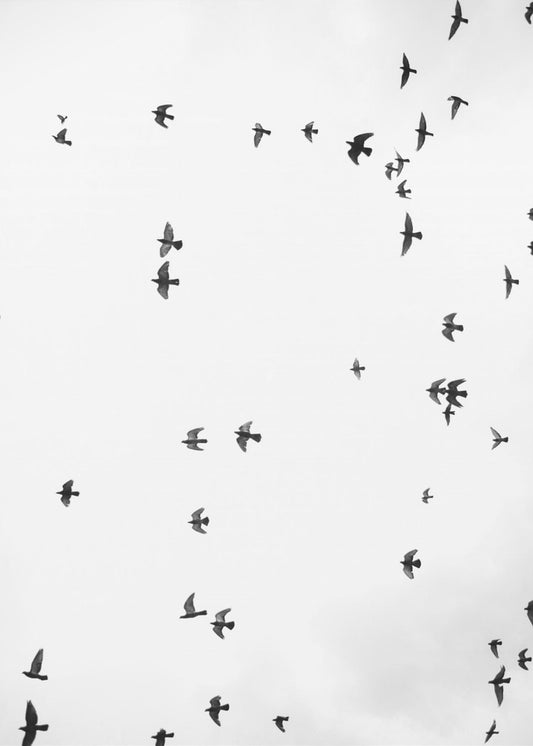 Flight in Silence | Poster