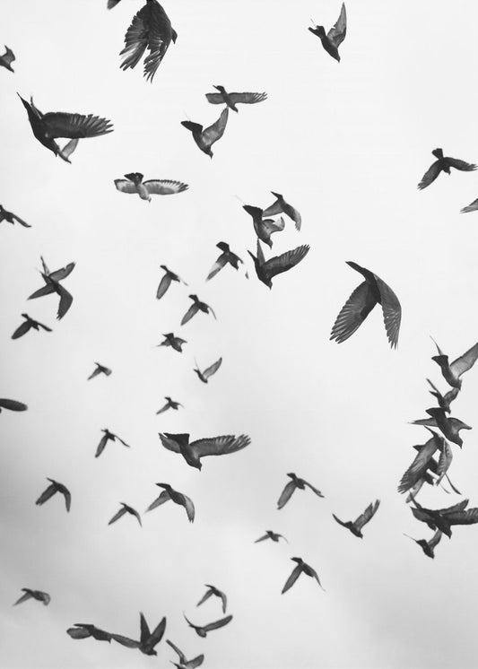 Skyward Symphony | Poster