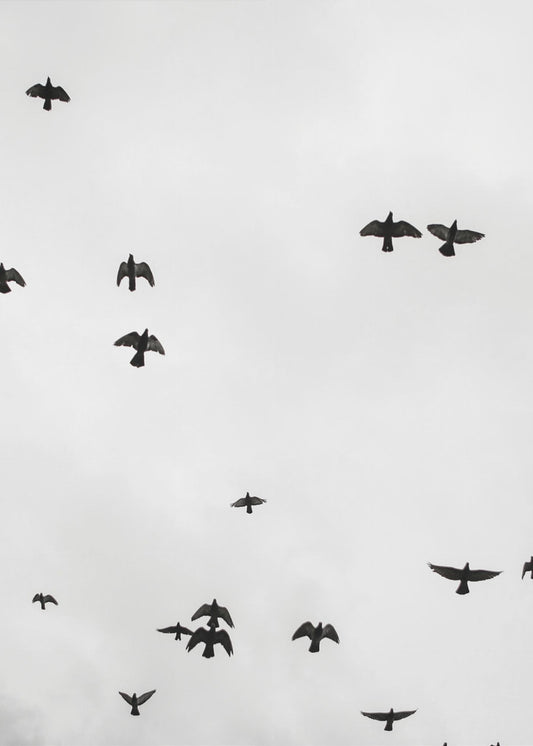 Soaring Shadows | Canvas