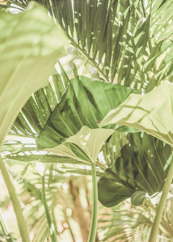 Sunlit Jungle Greens | Canvas