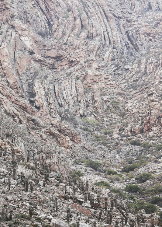 Canyon Whispers | Canvas