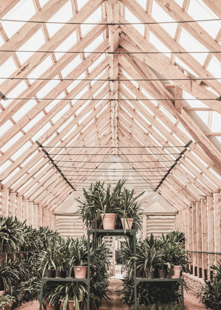 Serene Greenhouse | Canvas
