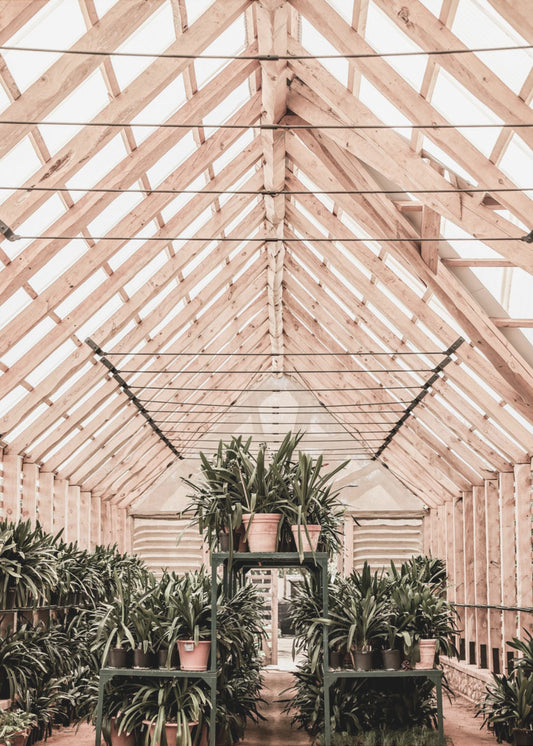 Serene Greenhouse | Canvas