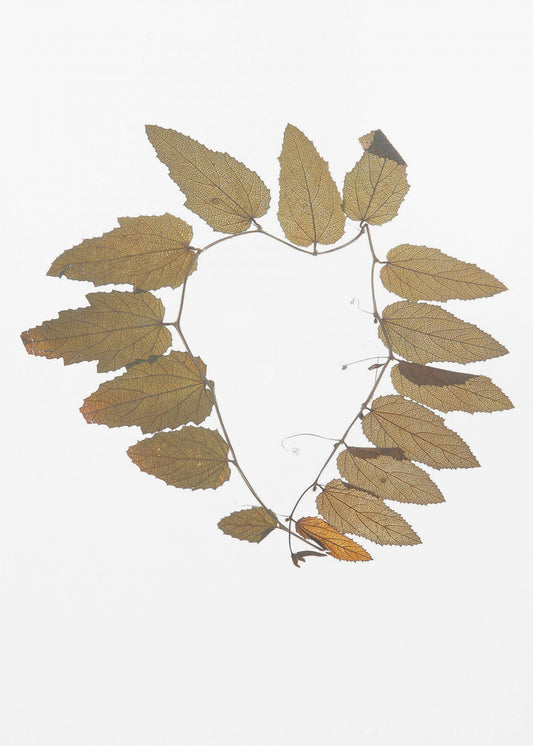 Leafy Embrace | Poster