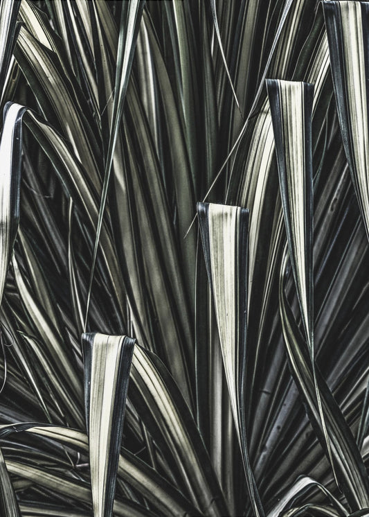 Verdant Stripes | Poster