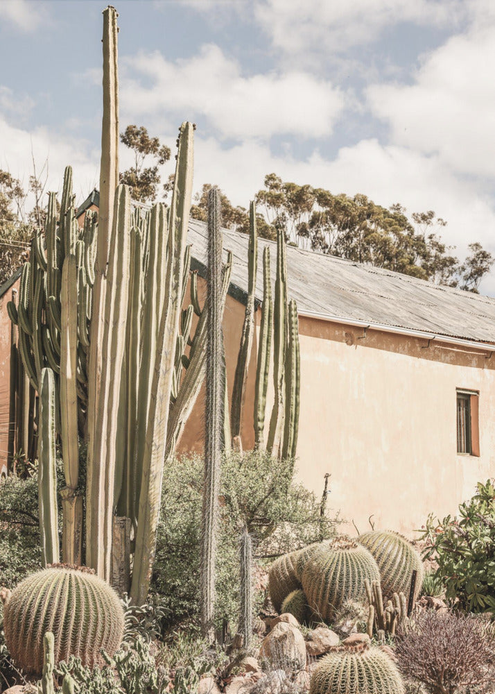 Desert Retreat | Canvas