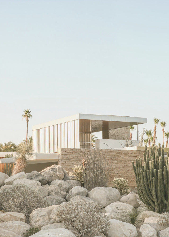 Desert Modern Oasis | Canvas