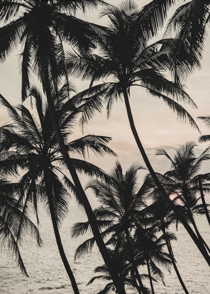 Tropical Twilight | Poster