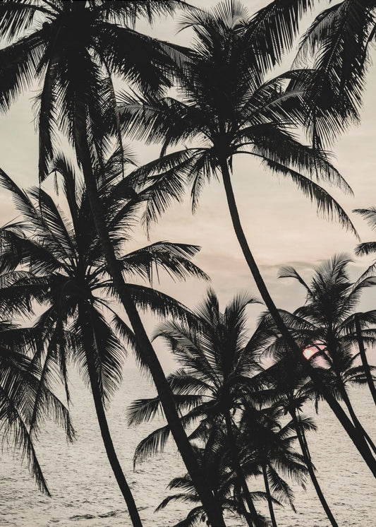 Tropical Twilight | Poster