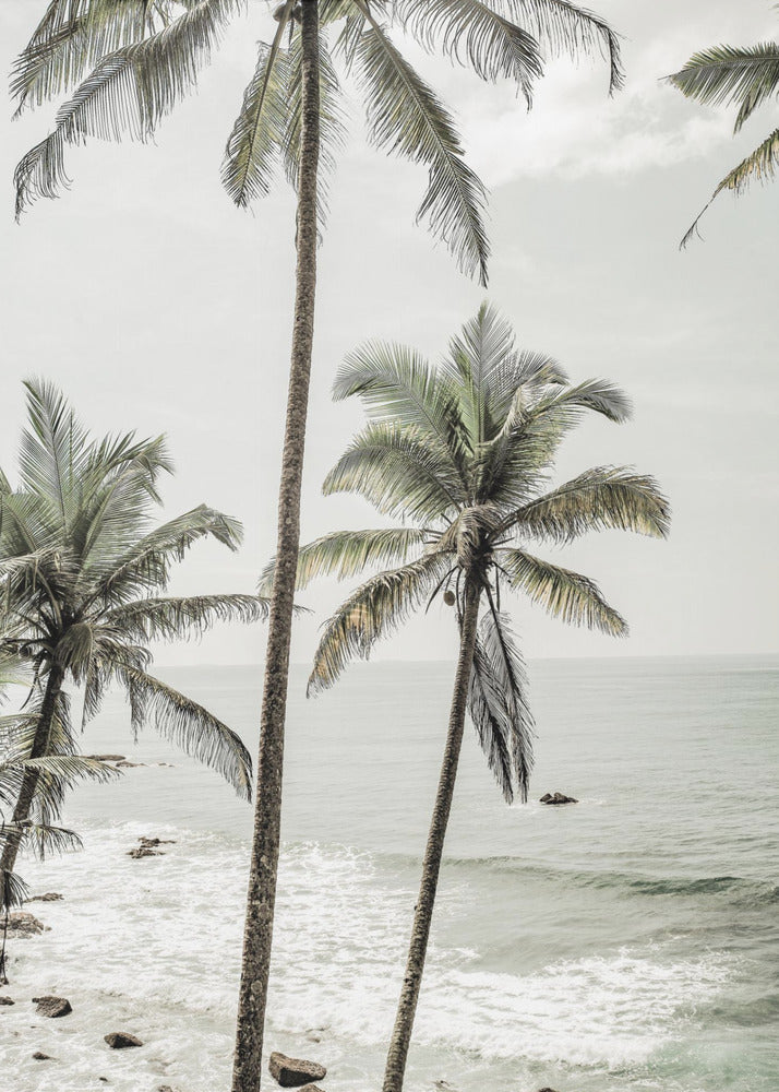 Serene Palm Coast | Canvas