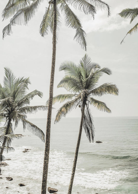 Serene Palm Coast | Canvas