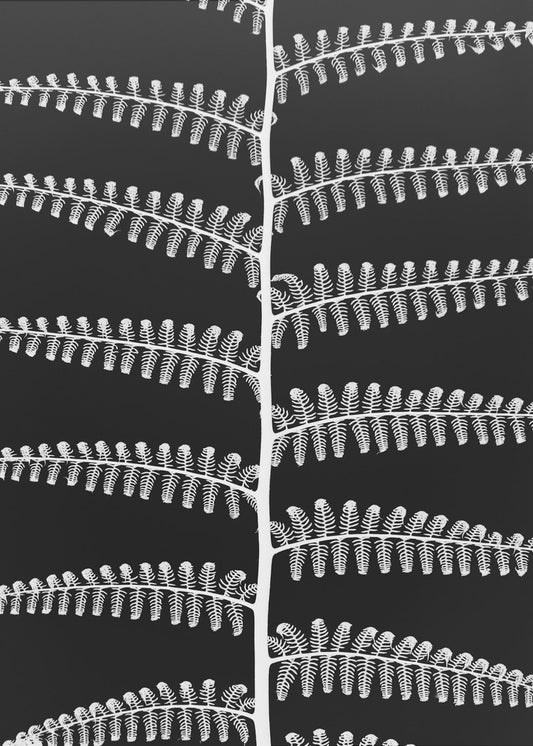 Fern Symphony | Canvas