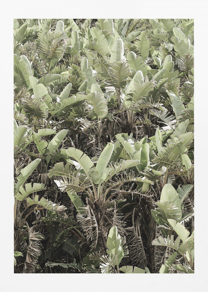 Verdant Canopy | Canvas