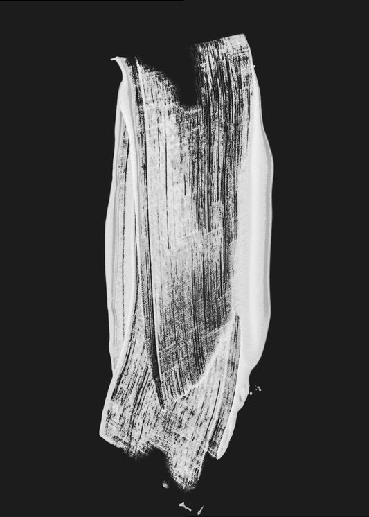 Monochrome Brushstroke | Canvas