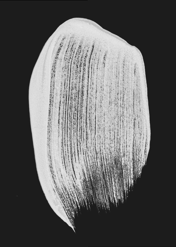 Silken Brushstroke | Canvas