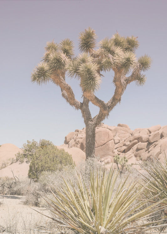 Desert Dreamscape | Poster