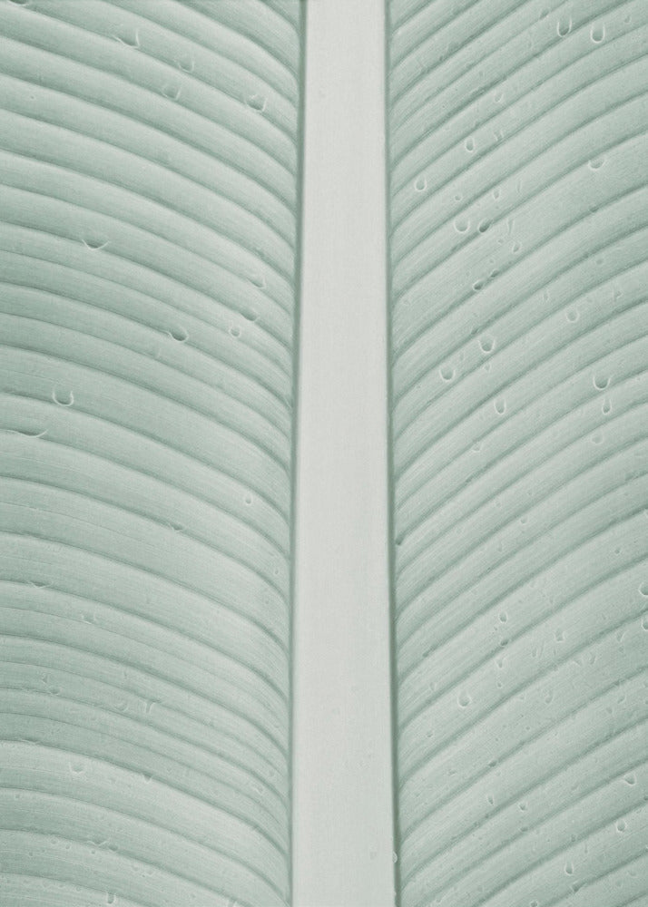 Tropical Veins | Canvas