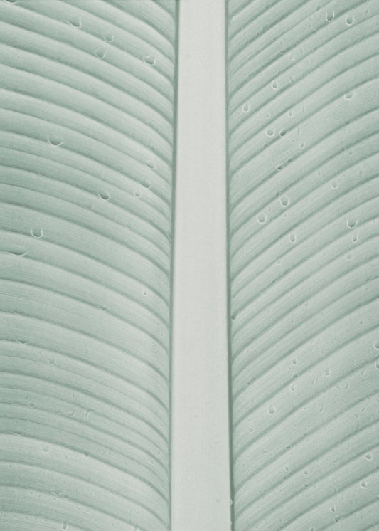 Tropical Veins | Canvas