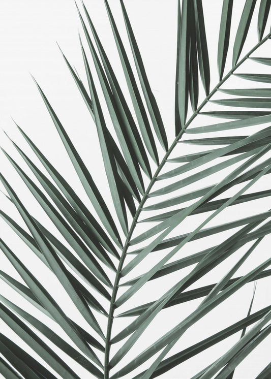 Leafy Elegance | Canvas