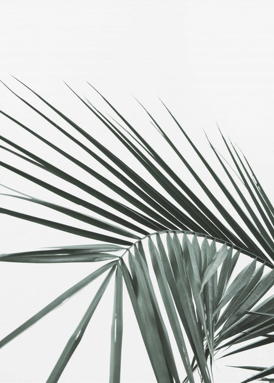 Tropical Elegance | Poster