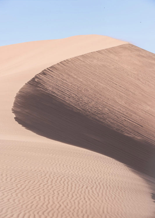 Desert&#039;s Graceful Curve | Canvas