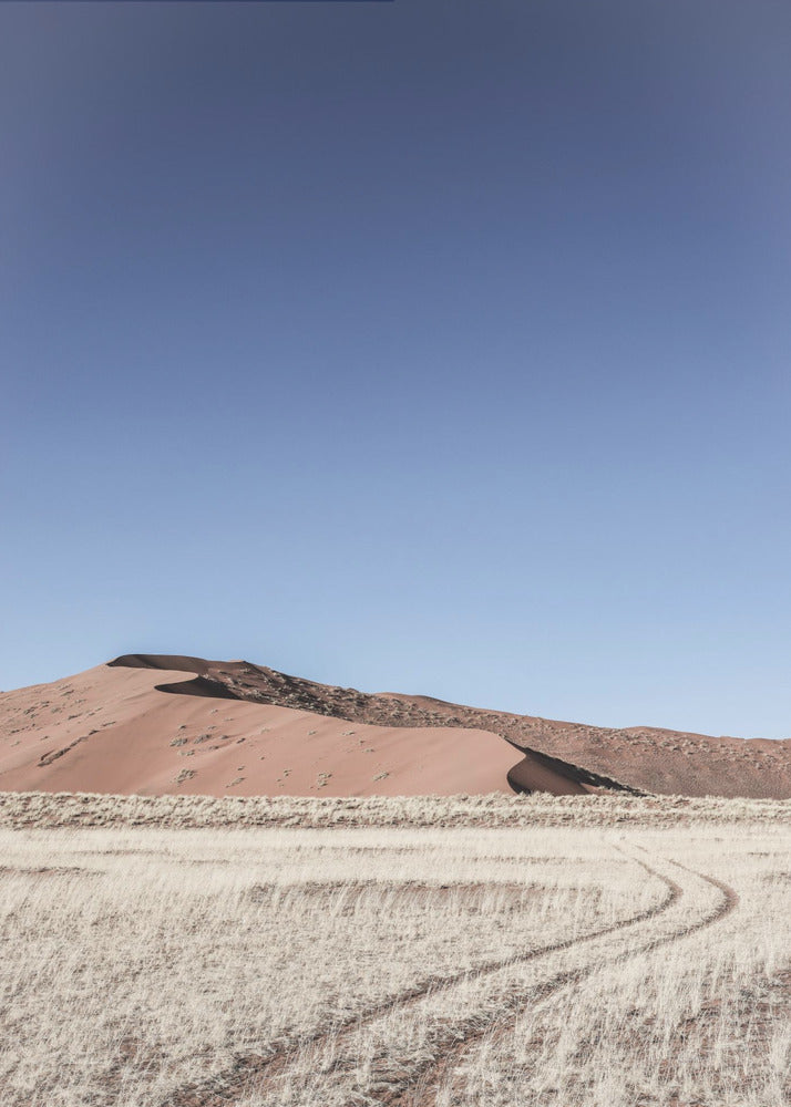 Desert Serenity | Poster