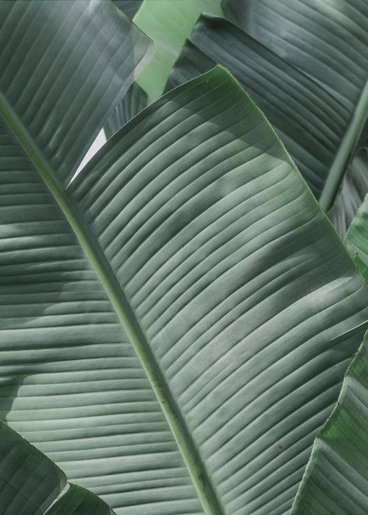 Verdant Leaf Waves | Canvas