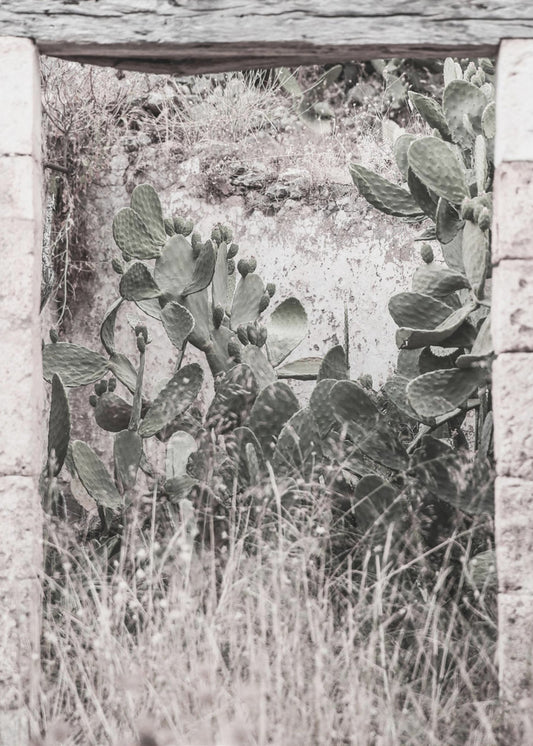 Desert Doorway Scene | Canvas