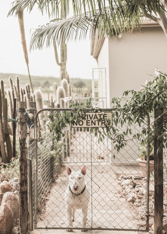 Guarding Serenity | Canvas