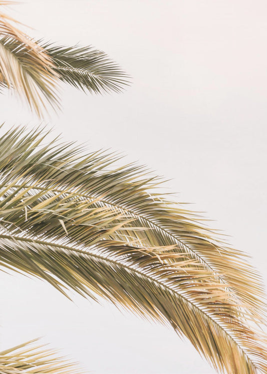 Golden Palm Breeze | Canvas