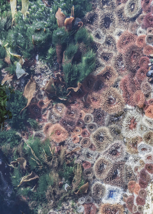 Ocean&#039;s Tapestry | Canvas