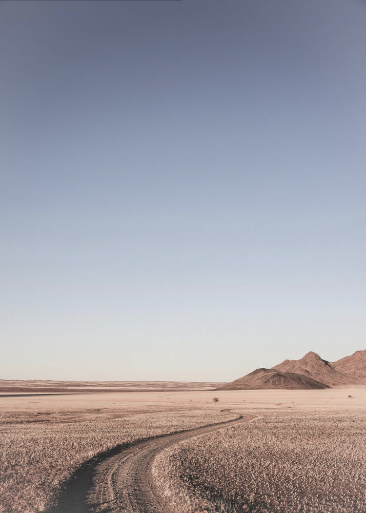 Desert Pathway | Canvas