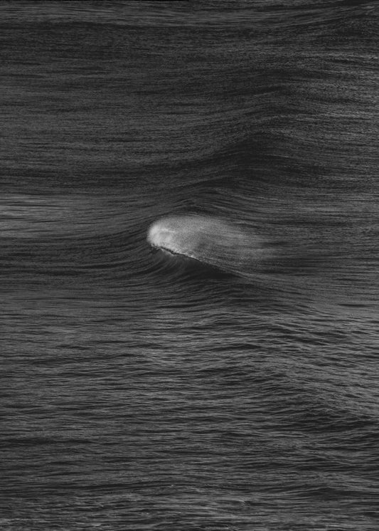 Whispering Waves | Poster