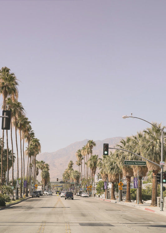 Palm-Lined Avenue | Canvas