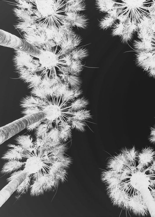 Inverted Palmscape | Canvas