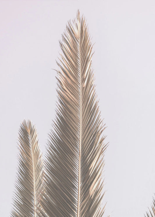 Golden Fronds Skyward | Canvas