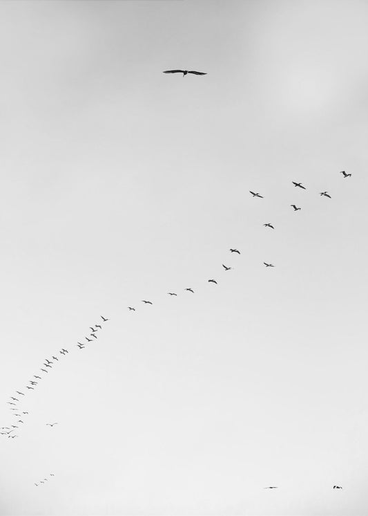 Skyward Journey | Poster