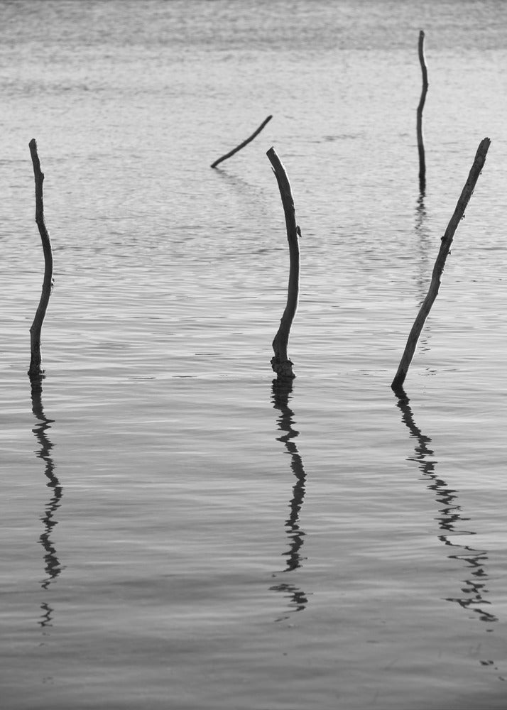 Silent Reflections | Canvas